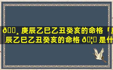 🌸 庚辰乙巳乙丑癸亥的命格「庚辰乙巳乙丑癸亥的命格 🦋 是什么」